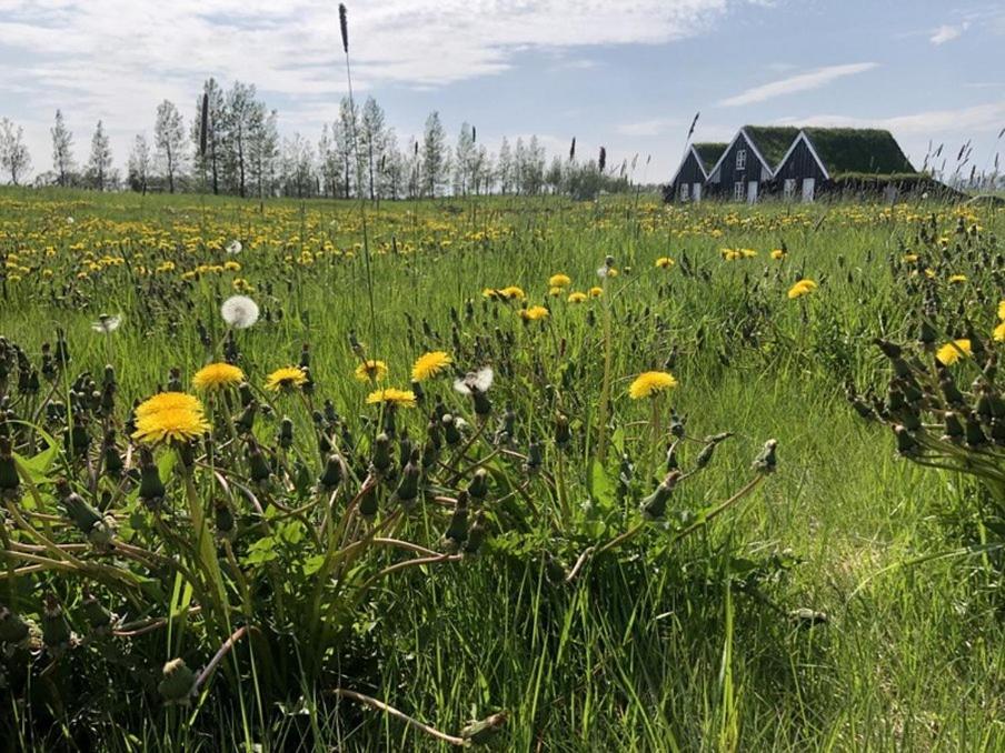Efri-Vík Bungalows Kirkjubæjarklaustur Exterior foto